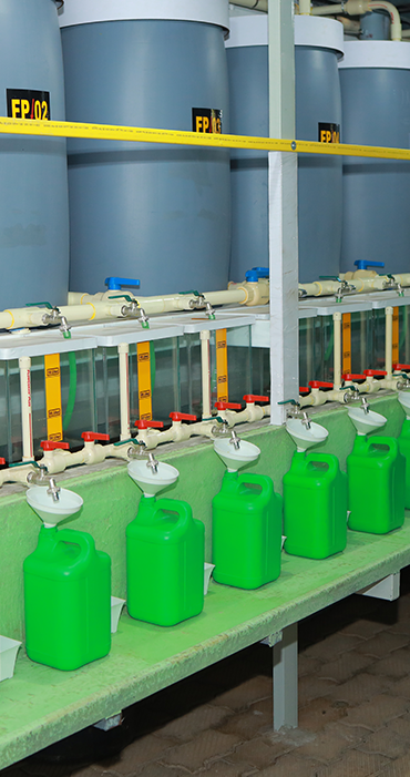 Factory View 2