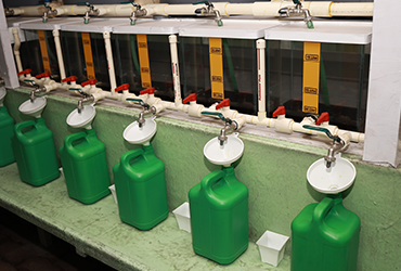 Factory View 6